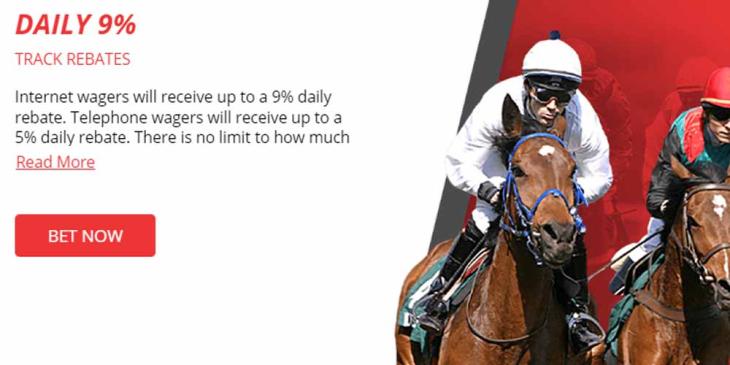 Betonline Sportsbook Daily Rebate: Join and Get Up to 9% Every Day!