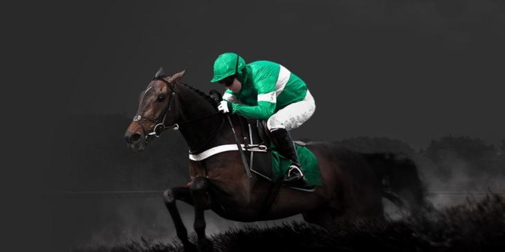 You Can Win Up to 100 Free Spins at bet365 Casino Cheltenham Gold Cup Sweepstake