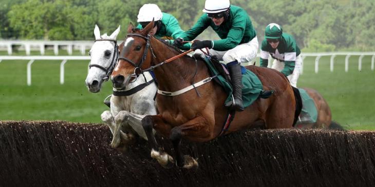 Freeroll Tickets Up For Grabs at bet365 Poker Cheltenham Champions Promotion