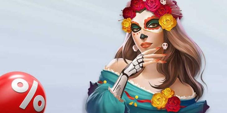 Free Bingo Bonus: Get 500% First-Deposit Bonus to Play Games