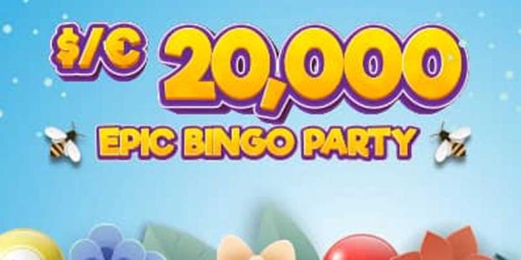 Win Mega Jackpot in Cyberbingo up to $20,000