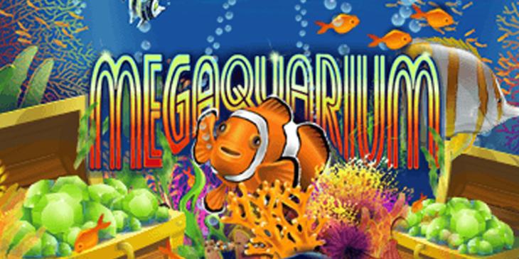 Slot of the Month at Everygame Casino: Join to Win Up to $6.000