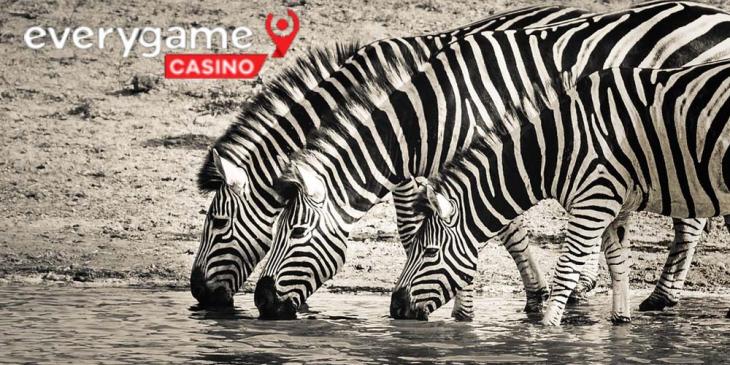 Everygame Casino Match Bonus: Get 100% Bonus and 100 FS