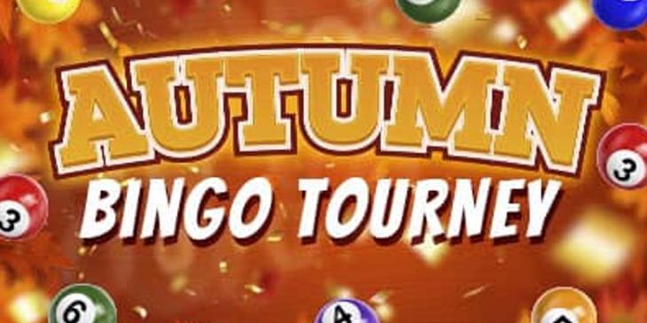 CyberBingo’s Autumn Bingo Tourney: Win $1.000 Cash