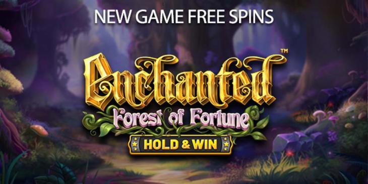 Enchanted Forrest of Fortune at Everygame: Become a Winner!!!