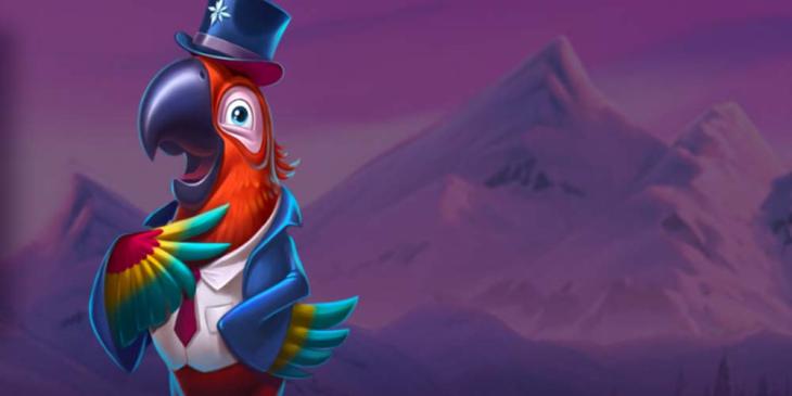 Fourth Deposit Bonus at Bizzo Casino: Get Bonus up to €/$1,000