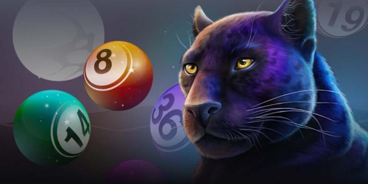 Neospin Casino Lottery: Buy a Ticket With up to €3!