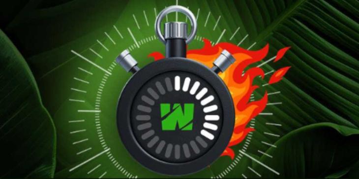 Chase Big Prizes with the Daily Tournament at Wild Casino