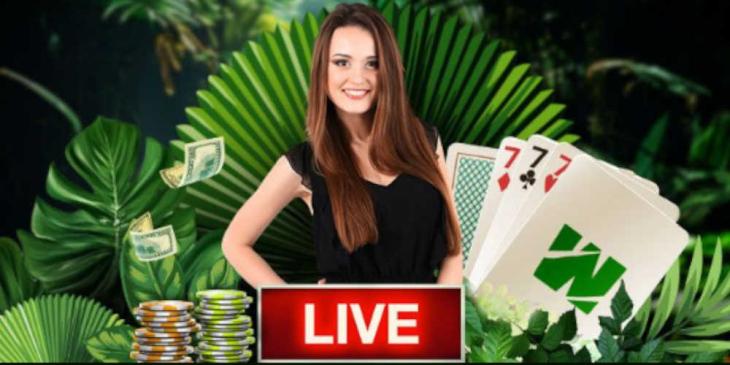 Live Blackjack Bonus at Wild Casino – Chase the Wild Diamond 7’s Jackpot