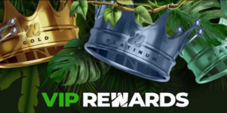 Wild Casino VIP Rewards – Level Up for Bigger Benefits