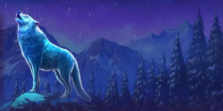 Casino Promo Codes at Bizzo – Unlock Bonuses, Boost Your Play