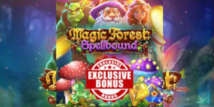 Exclusive Magic Forest: Spellbound Bonus at Everygame Casino — “Double the Magic, Double the Cash”