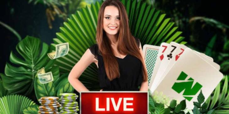 Make Your Fortune with the Wild Diamond 7 Progressive Jackpot at Wild Casino