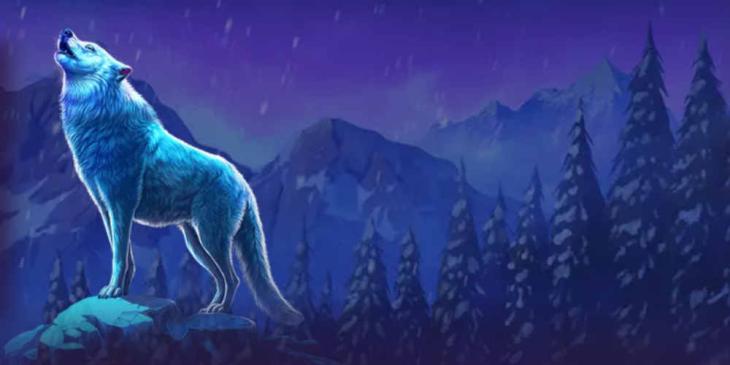 Codes are like keys… the right one opens the vault – Bizzo Casino Coupon Codes