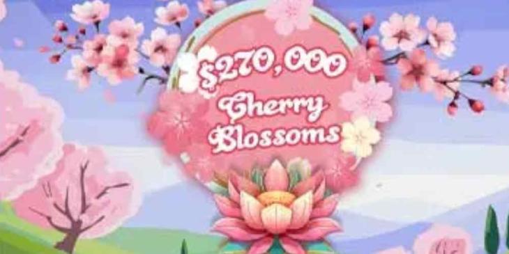 Bloom Big with the Spring Tournament at Everygame Casino – $270k Prize Pool