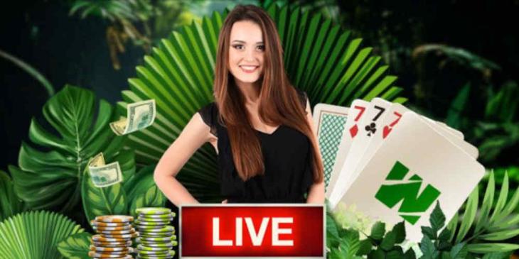 Crack the Vault with the Progressive Live Blackjack Promotion at Wild Casino