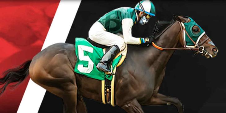 Beat the Vig with the Daily Cashback on Horse Races at betOnline
