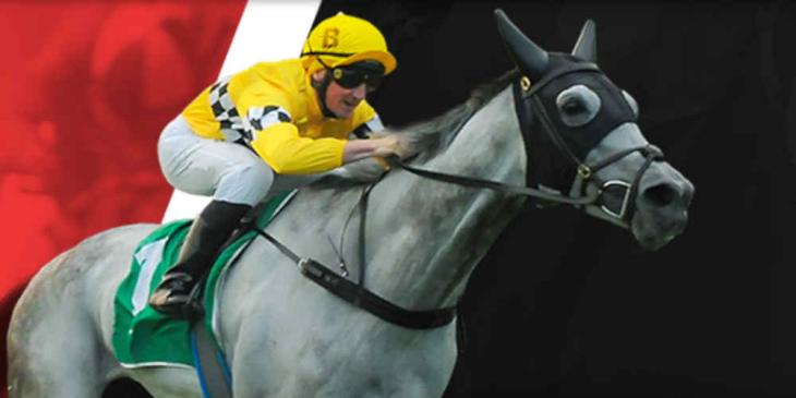 Take a Free Swing at the Track with the Free Bet on Horse Racing at betOnline