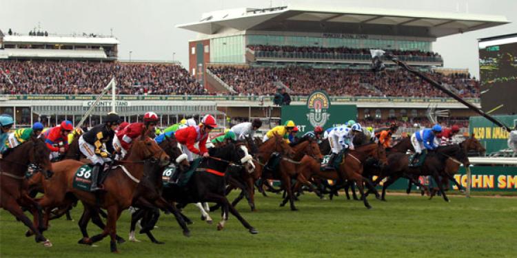 Can You Spot The Best Bets On The Grand National At Bet365?