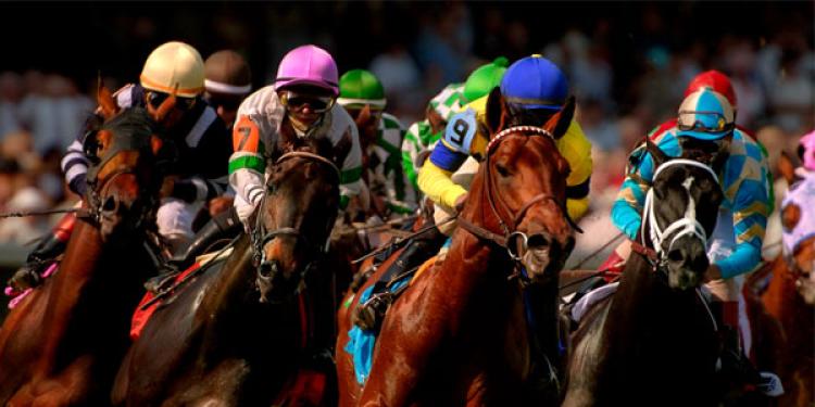 Useful Tips for Betting on the Kentucky Derby