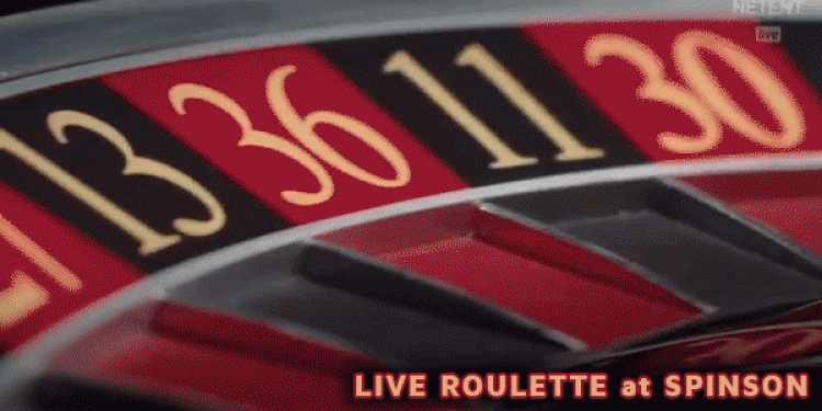 New Live Roulette Titles on Mobile & Desktop at Spinson