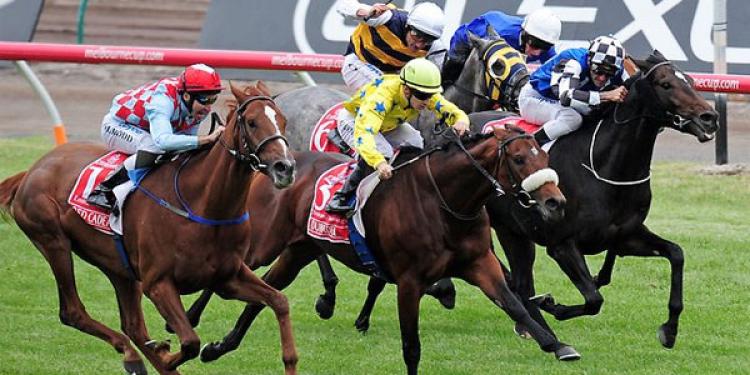 Have you Placed your Bet on the Melbourne Cup yet?