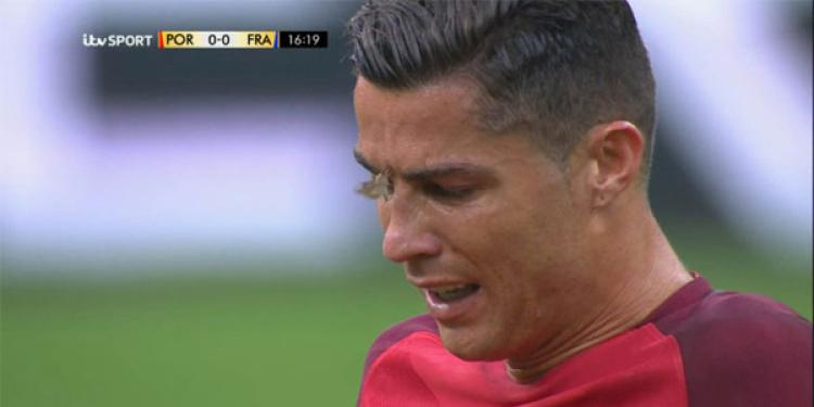 Stade de France Moth Attack Most Memorable Moment of Euro 2016