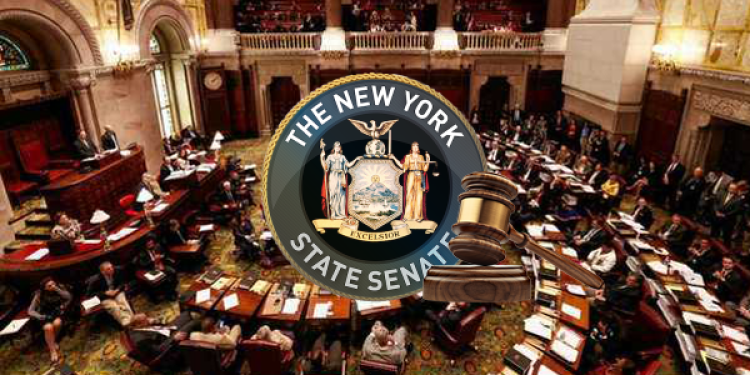 Senate Votes in Favor of Online Poker in New York