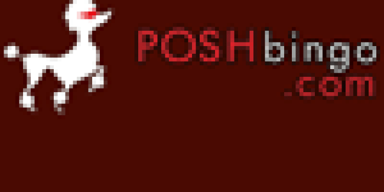 Posh Bingo Slide 1