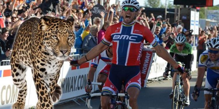 Arctic Race of Norway Stalked By A Leopard