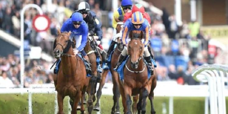 Hans Holbein Is in Winning Shape for the 2015 Epsom Derby