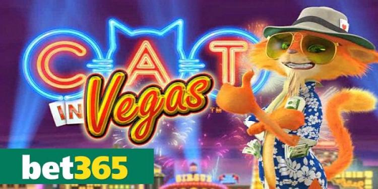 Enjoy the Superb Cat in Vegas Slot at Bet365 Casino