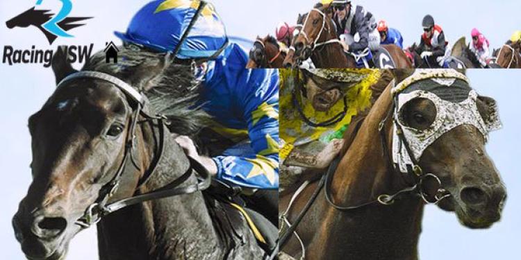 Foley Calls For Cut in NSW’s Vastly Inflated Racing Tax