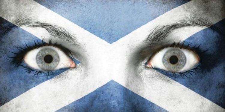 The Last Gasps of The Campaign