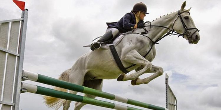 Showjumping – the King of Equestrian Sports