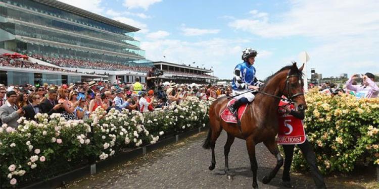 Should We Back Red Cardinal To Win The 2017 Melbourne Cup?