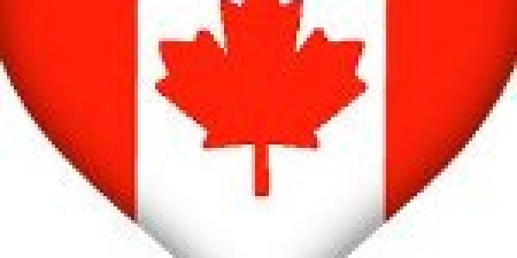 Edmonton Archbishop Orders Gambling Funds out of Catholic Schools