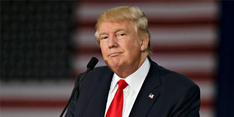 Want to Know the Best Site to Bet on Donald Trump?