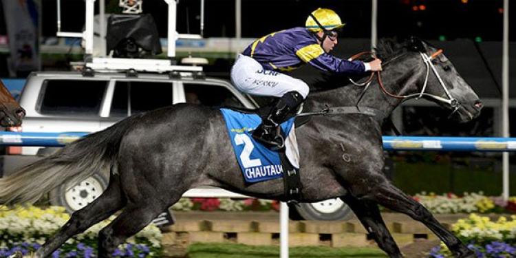 Bet On Chautauqua To Win The Everest; Richest Turf Race Ever