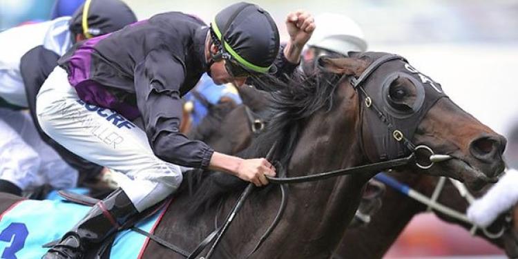 Fiorente, the Unstoppable Horse that Wreaks Havoc on Bookmakers