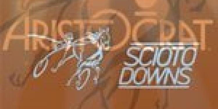 Aristocrat Contemplates Online Gambling Horizons in USA