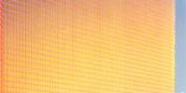 Borgata Collects First Ever New Jersey Online License