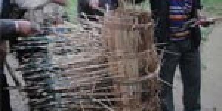 Indian Bow and Arrow Lottery is Alive and Well