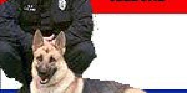 Dutch Cops Arrest Elderly Poker Players Who Upset Neighbor Drug Party