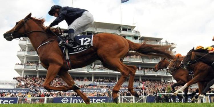 Excellent Performance of the Leaders Before the Big Epsom Downs Racecourse