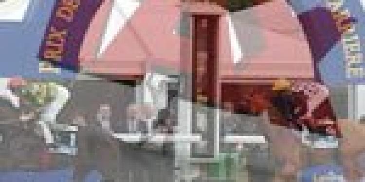 Gambling Industry Disputes French Horse Race Betting Levy Justification