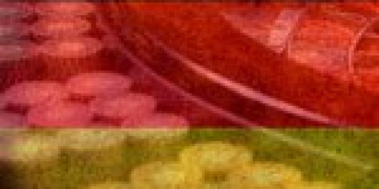 Mafia Money Laundered Through German Online Gambling