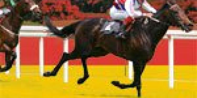 German Bill Liberating Online Sports Betting in Schleswig-Holstein Submitted