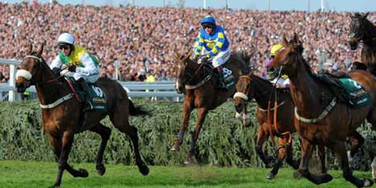 Follow the Spotlight or Go With the Pros? Grand National Betting Statistics