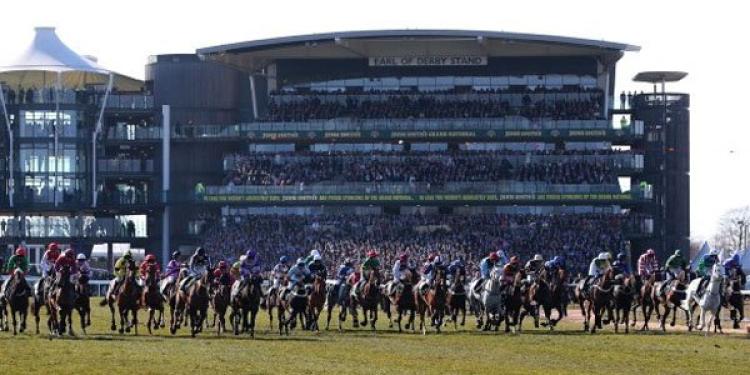 7 Horses with a Great Chance of Grand National Success and 1 Rank Outsider
